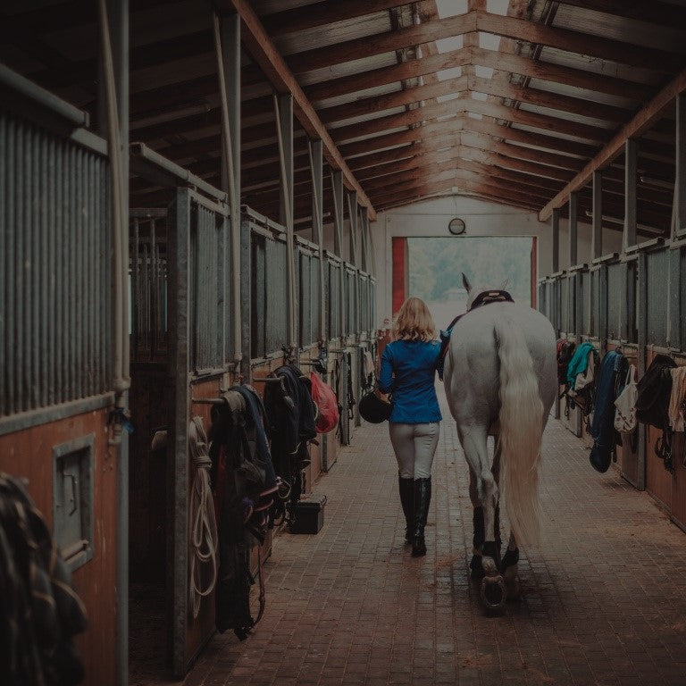 woman with her horse in a stable