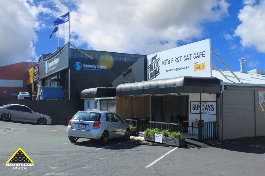 THE CAT LOUNGE, AUCKLAND – A CAT LOVER’S PARADISE